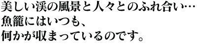 渓流釣行記 釣れなくても…釣り