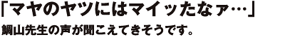 小さなマーヤの哀しい踊り