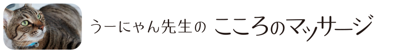 うーにゃん先生