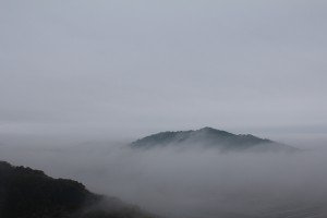 高知の山