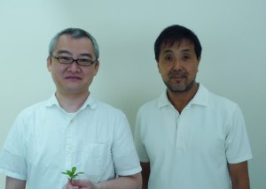 須田悦弘氏と