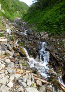 湧き出る水