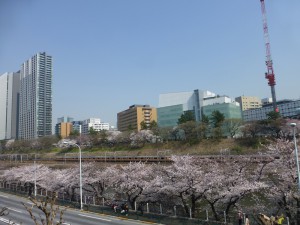 Chinomaからの風景