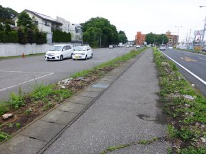 街路樹伐採