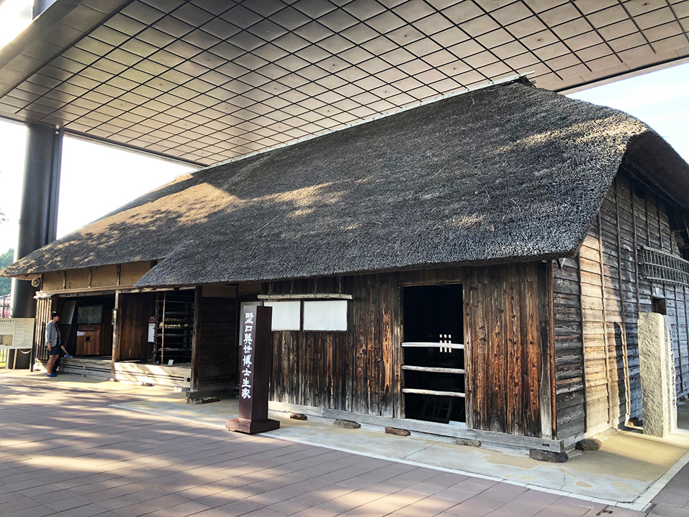 ザンネンな野口英世記念館 | 株式会社コンパス・ポイント（広告